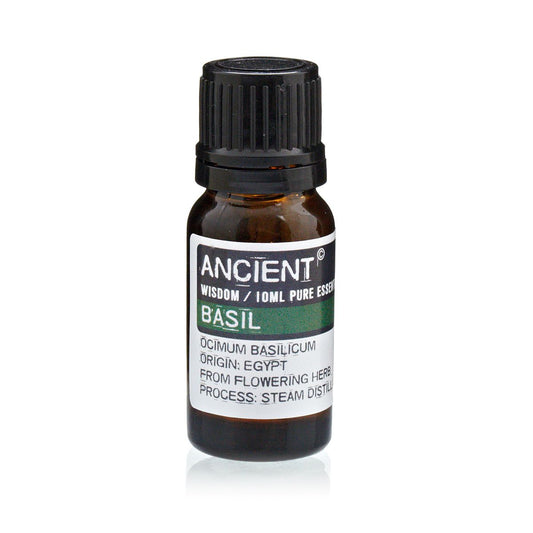 Amber 10 ml bottle labelled ‘Basil—pure essential oil’, a steam-distilled, crisp green aroma used for focus and refreshing room mists.
