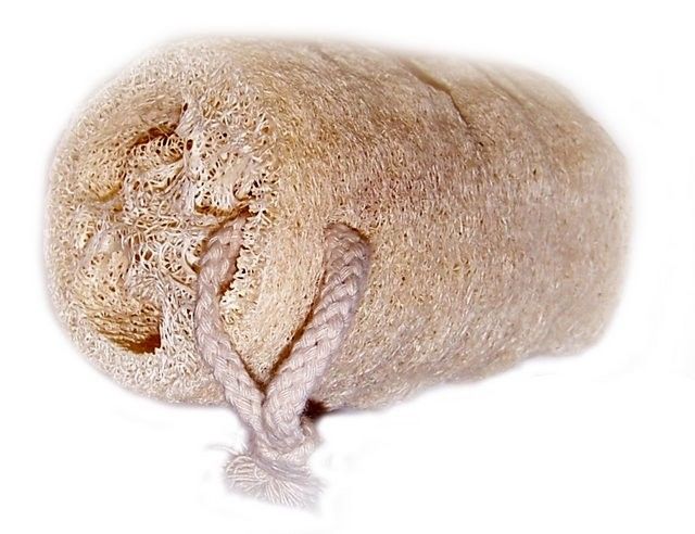 Natural Loofah Scrub on Rope — Rustic Renewal