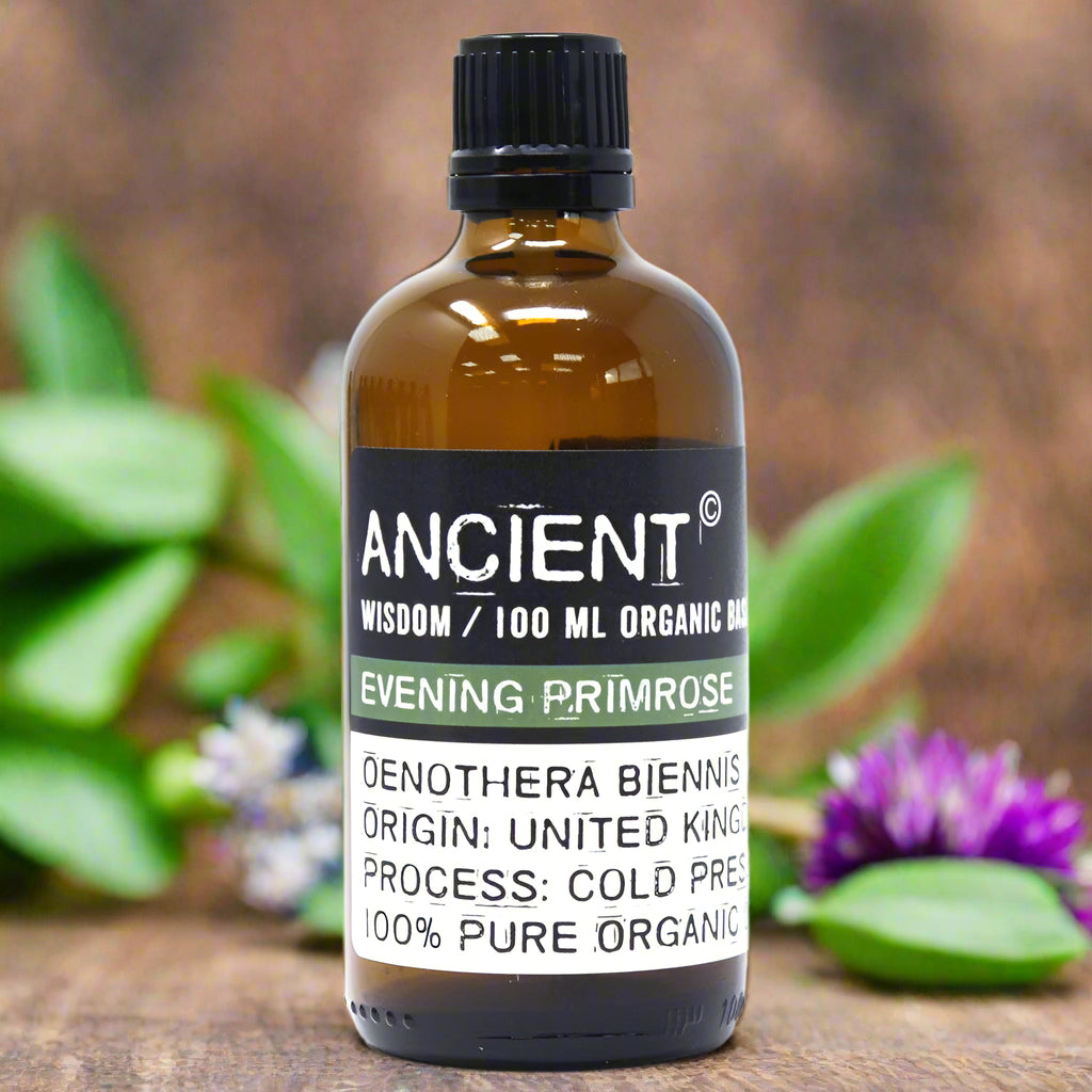 Amber glass bottle with black cap labelled ‘Evening Primrose—100 ml organic base oil’; cold-pressed Oenothera biennis seed oil from the United Kingdom, pale yellow with a soft seed aroma