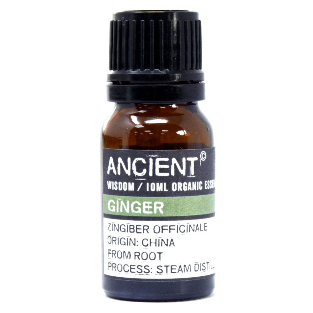 Small amber glass bottle labelled ‘Ginger—Organic Essential Oil, steam-distilled from root’—warm, spicy aromatherapy oil for diffuser and massage.