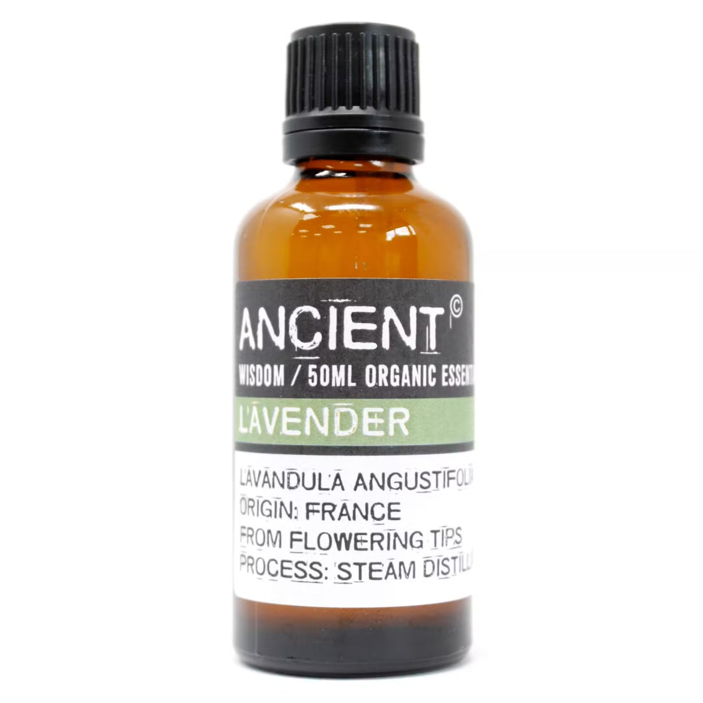 Amber 10 ml bottle labelled ‘Lavender—organic, steam-distilled’, a soft floral herb oil for calming diffusers and linen mists.