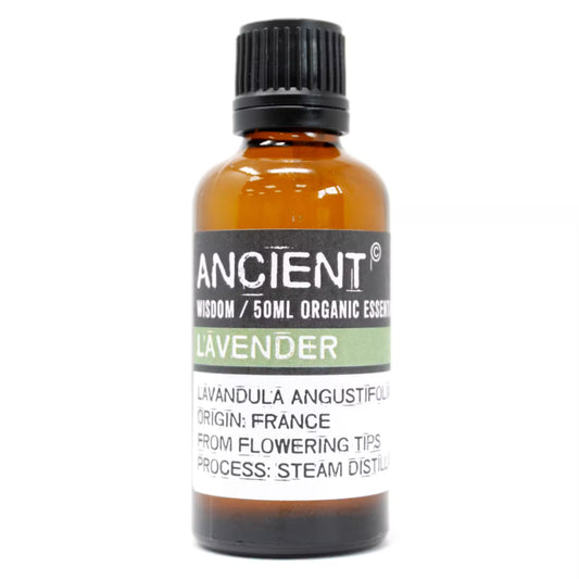 Amber 10 ml bottle labelled ‘Lavender—organic, steam-distilled’, a soft floral herb oil for calming diffusers and linen mists.