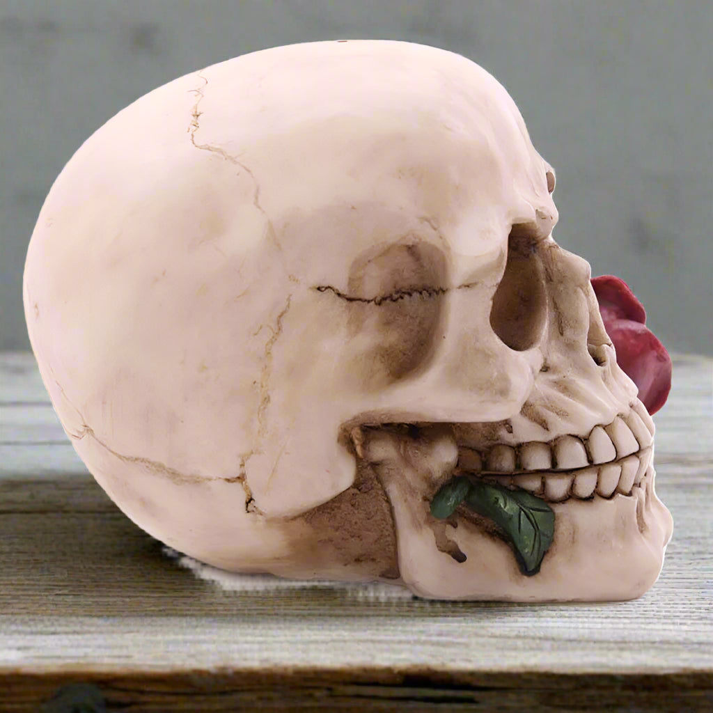 skull with a rose on a roughly painted table
