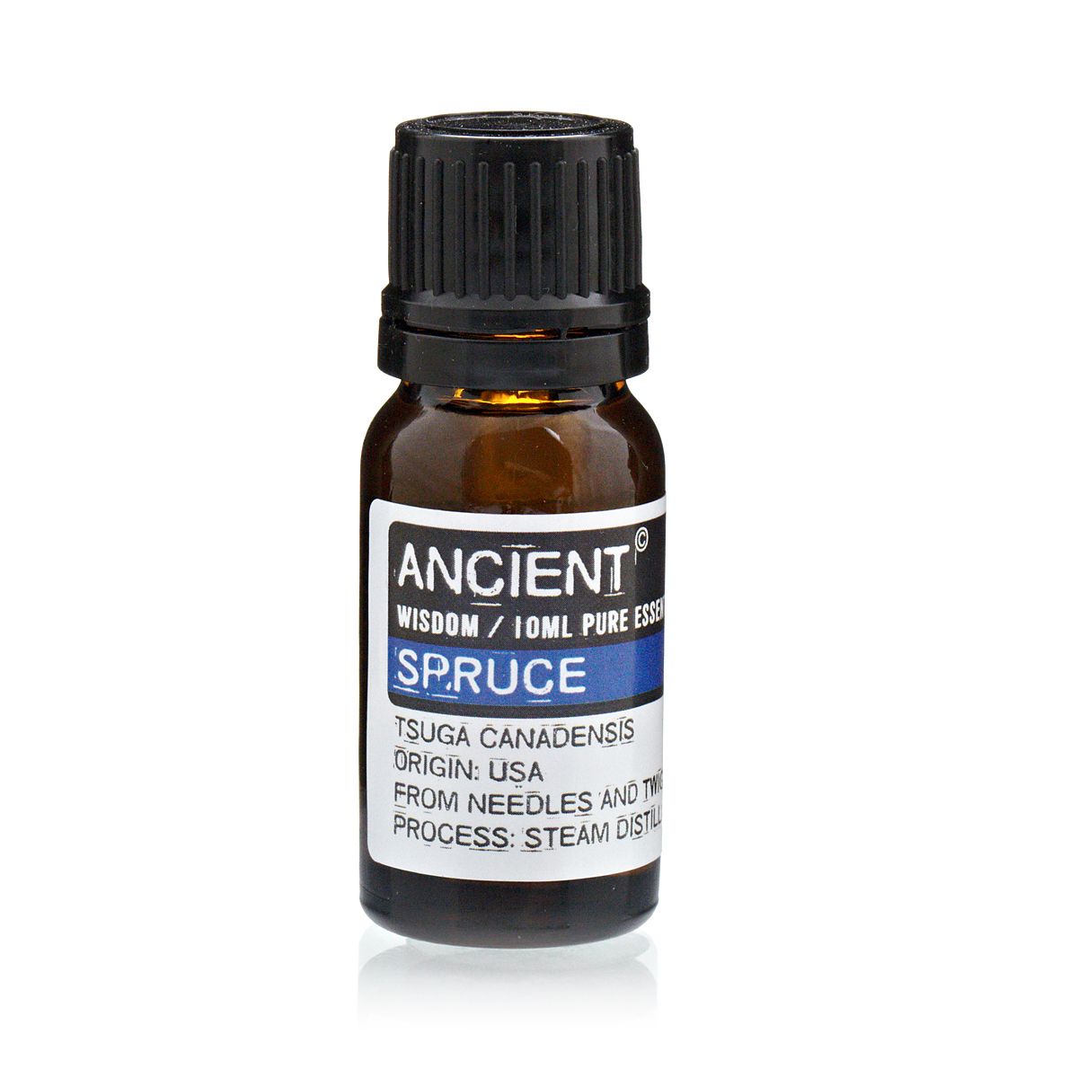 Amber 10 ml bottle labelled ‘Spruce—pure essential oil’, steam-distilled from USA needles and twigs; a crisp conifer aroma for clear-breath diffuser blends.