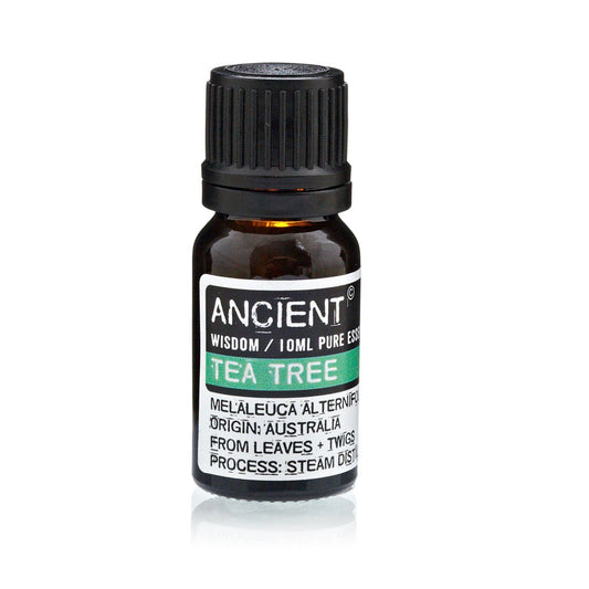 Amber 10 ml bottle labelled ‘Tea Tree—pure essential oil’, steam-distilled from Australian leaves and twigs with a crisp, purifying aroma for air and skin-clarifying blends.
