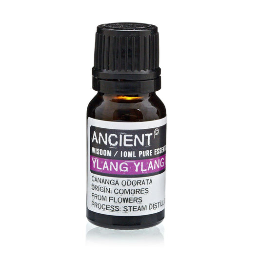 Amber 10 ml bottle labelled ‘Ylang Ylang—pure essential oil’, steam-distilled from Comoros flowers; a rich, sweet floral used for mood lift, calm, and romantic blends.