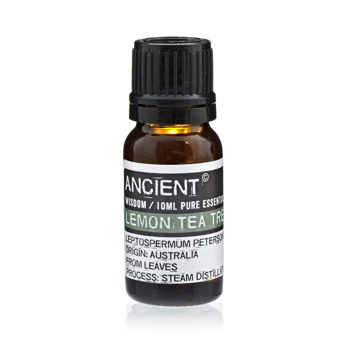 Amber 10 ml bottle labelled ‘Lemon Tea Tree—pure essential oil’, a steam‑distilled, lemon‑zest and herb‑fresh aroma for cleansing room sprays and focus diffusers.