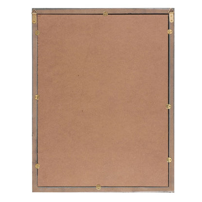 Old Raven Apothecary Mirrored Wall Art