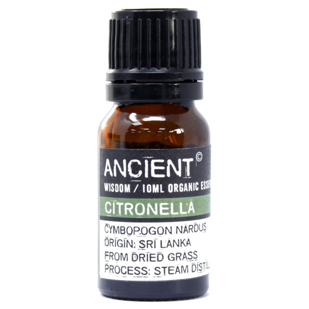 Amber 10 ml bottle labelled ‘Citronella—organic, steam-distilled’, a bright lemon grass essential oil for diffusers and DIY sprays.