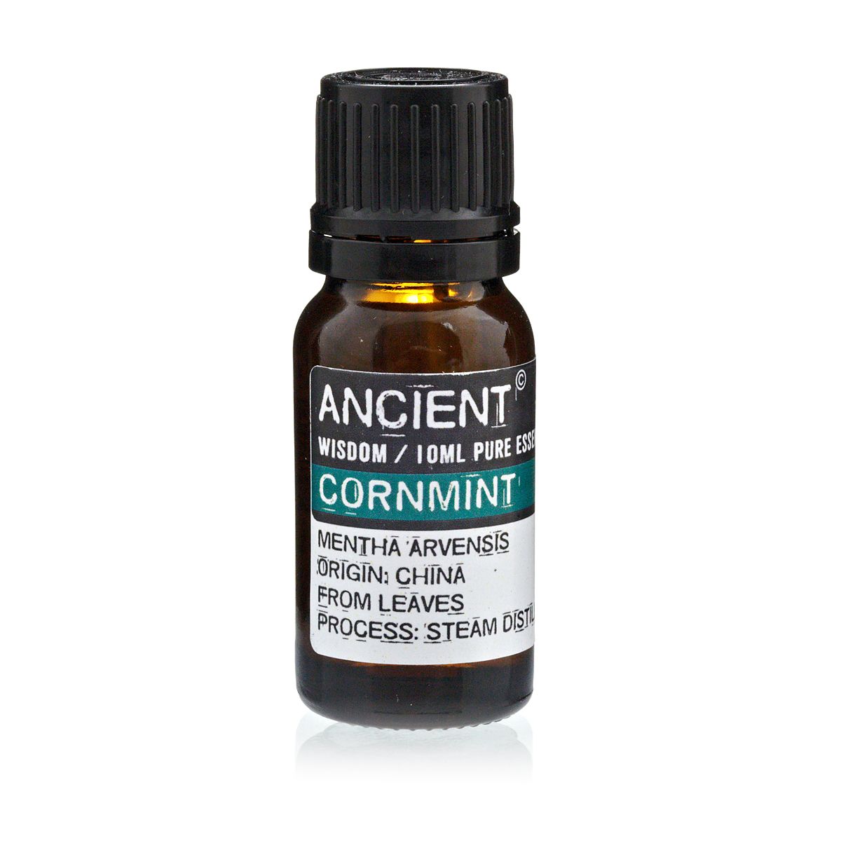 Amber 10 ml bottle labelled ‘Cornmint—pure essential oil’, a steam‑distilled, menthol‑rich mint aroma used in cooling diffuser blends and energising sprays.