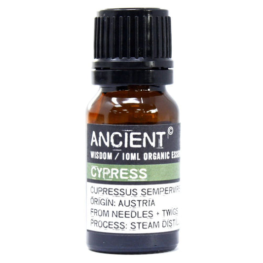 Amber 10 ml bottle labelled ‘Cypress—organic, steam-distilled’; fresh evergreen essential oil for diffuser and blends.