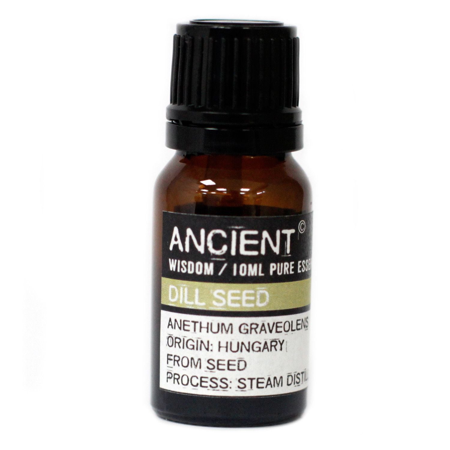 Amber 10 ml bottle labelled ‘Dill Seed—pure essential oil’, a steam‑distilled herb‑sweet, citrus‑green aroma used in fresh diffusers and gentle massage blends.