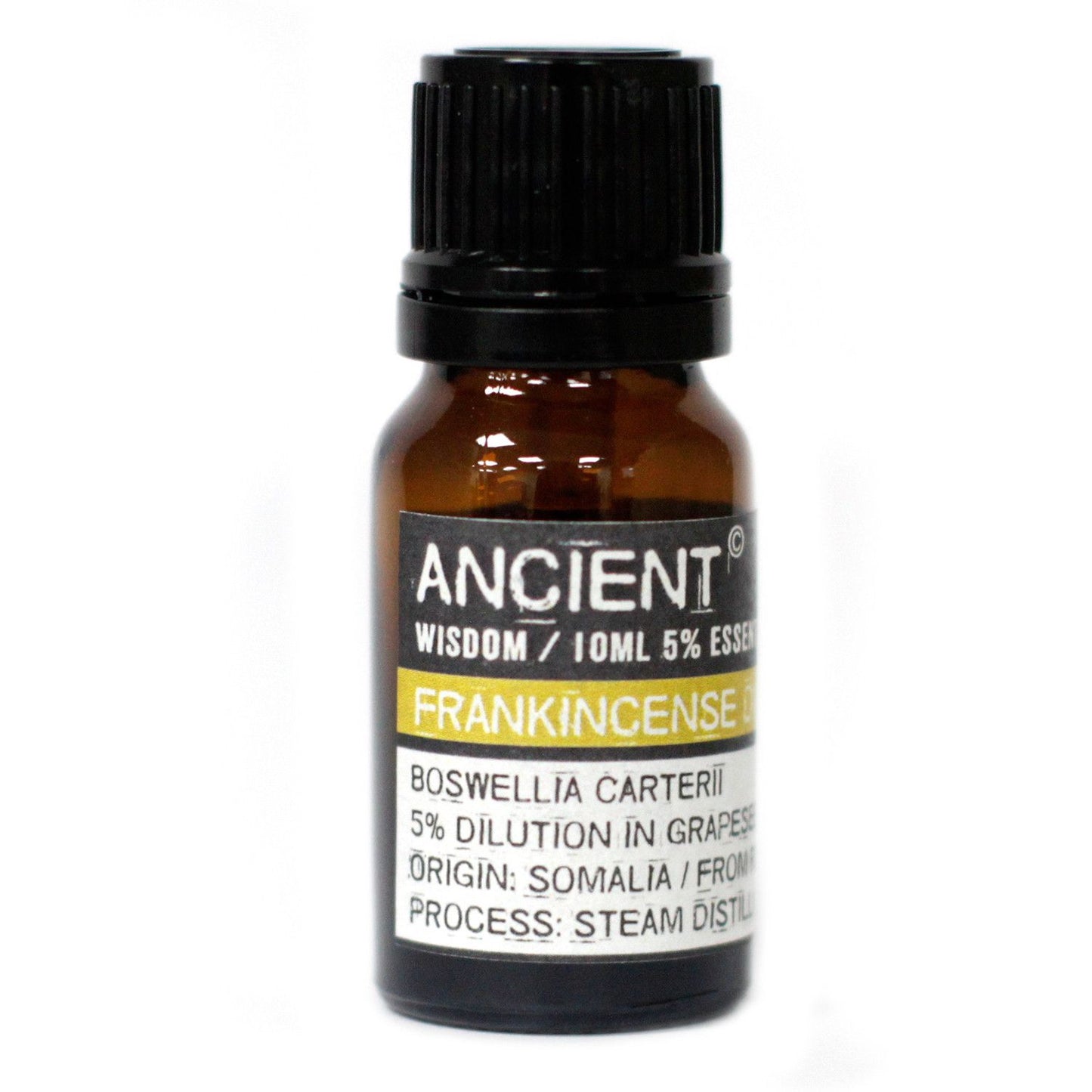 Amber 10 ml bottle labelled ‘Frankincense—5% dilution in grapeseed’, a steam‑distilled resin note with lemon‑resin and incense‑wood tones for gentle topical use.