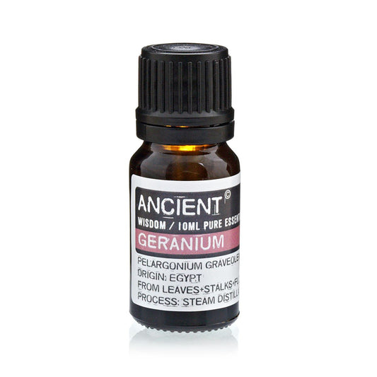 Amber 10 ml bottle labelled ‘Geranium—pure essential oil’, a steam‑distilled floral‑green aroma with rosy‑minty, apple‑leaf freshness for balancing blends.