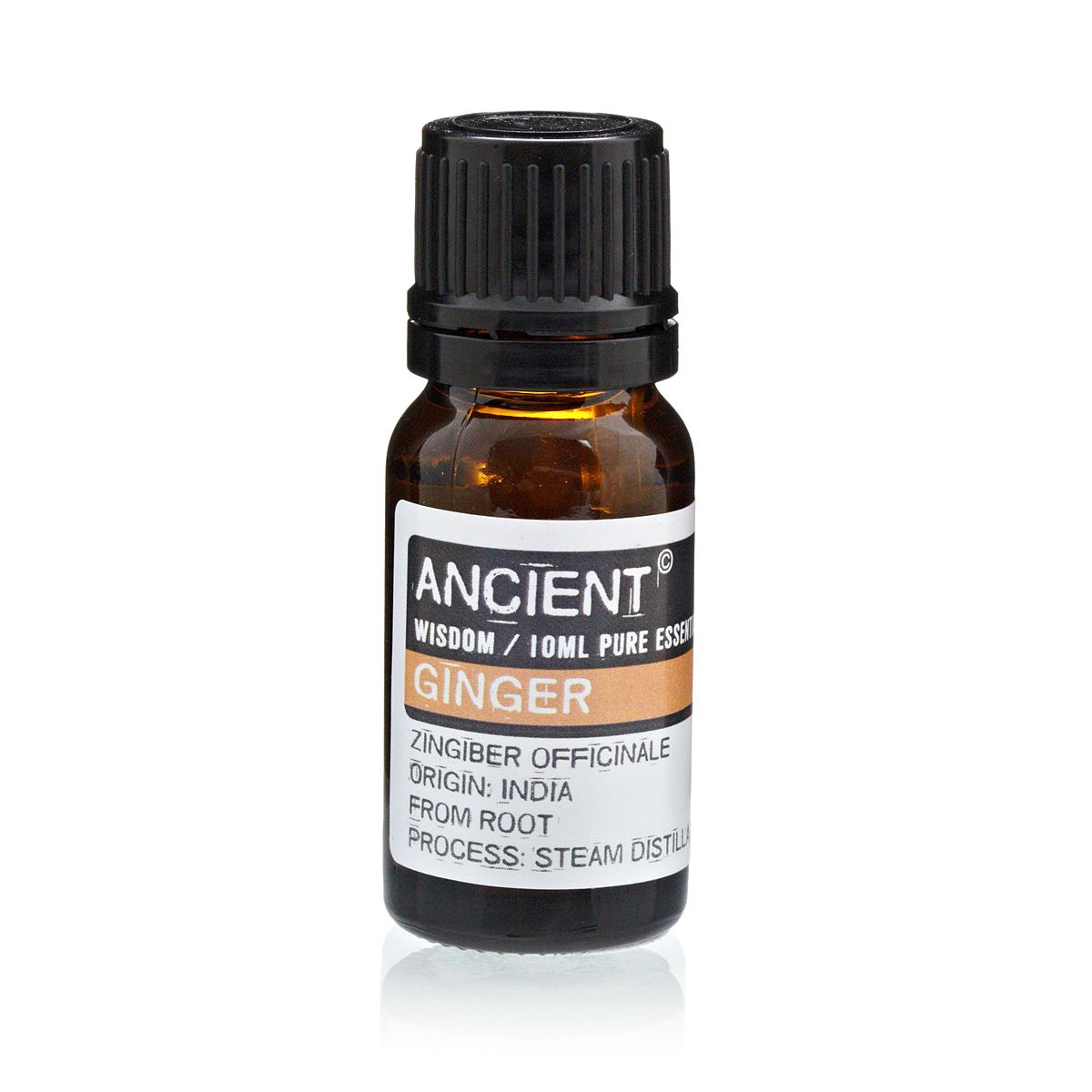 Amber 10 ml bottle labelled ‘Ginger—pure essential oil’, a steam‑distilled root oil with a warm spicy, woody‑citrus aroma used for diffuser courage, winter comfort, and soothing blends.