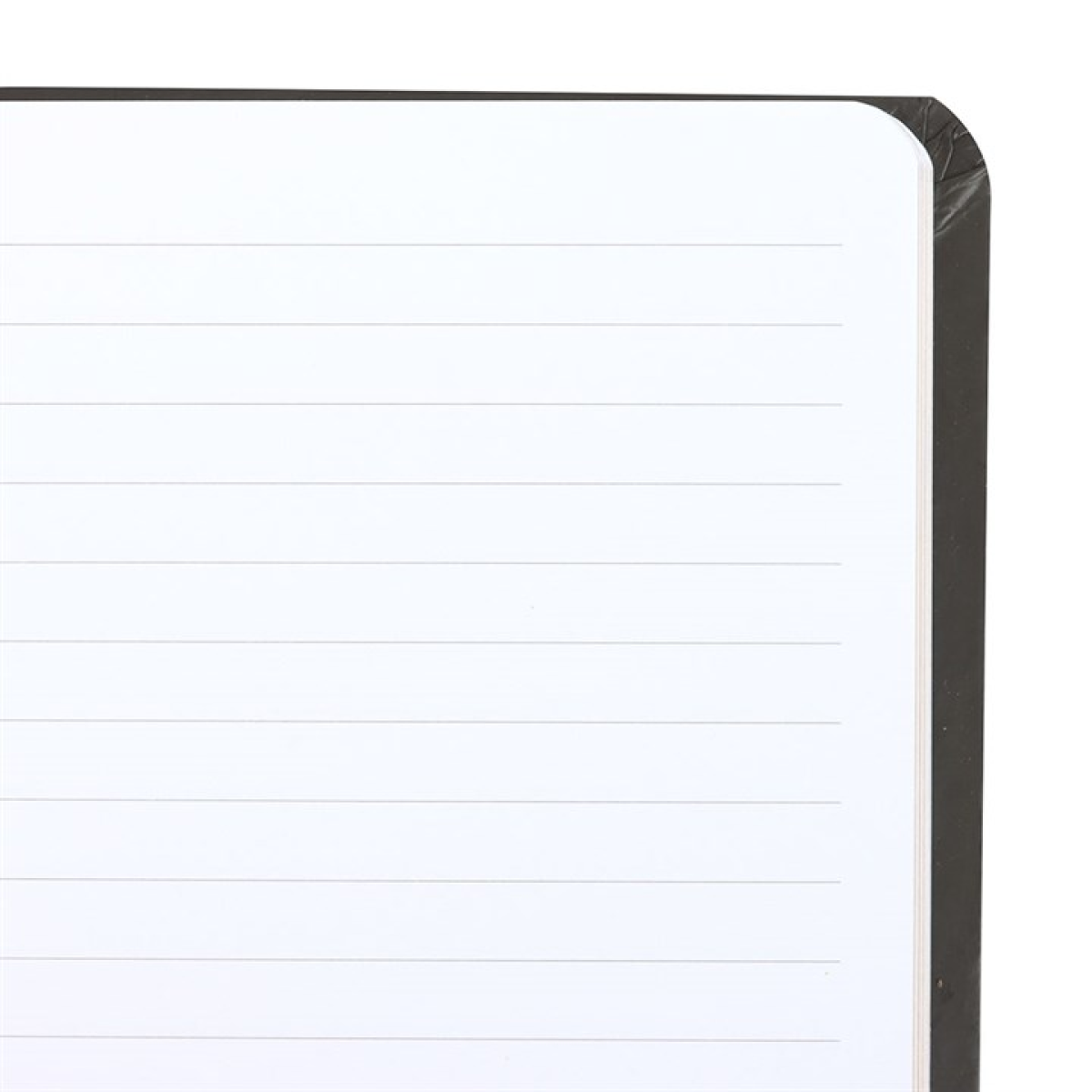 Black A5 notebook with pink “Good Witch” and green “Bad Witch” reversible covers and gold-edged pages.