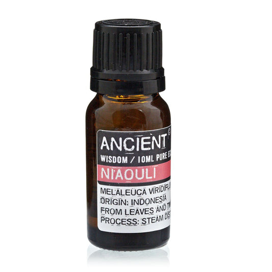 Amber 10 ml bottle labelled ‘Niaouli Essential Oil’, steam distilled from the leaves and twigs of Melaleuca viridiflora in Indonesia, valued for respiratory and purifying blends.