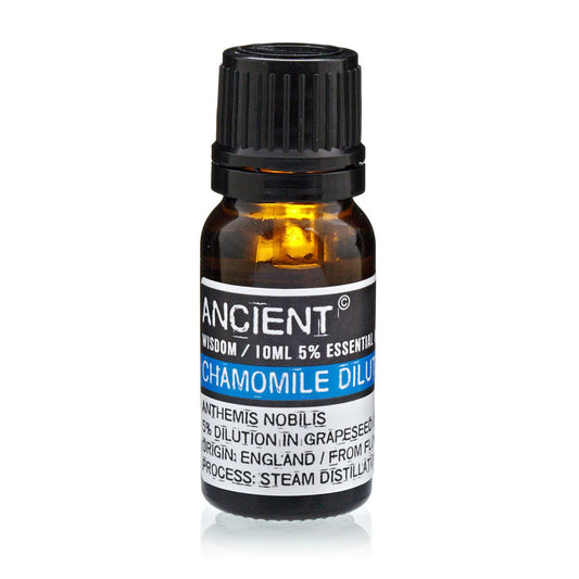 Amber 10 ml bottle labelled ‘Chamomile—5% dilution in grapeseed’, a steam‑distilled Roman chamomile with soft apple‑hay aroma for gentle topical use.