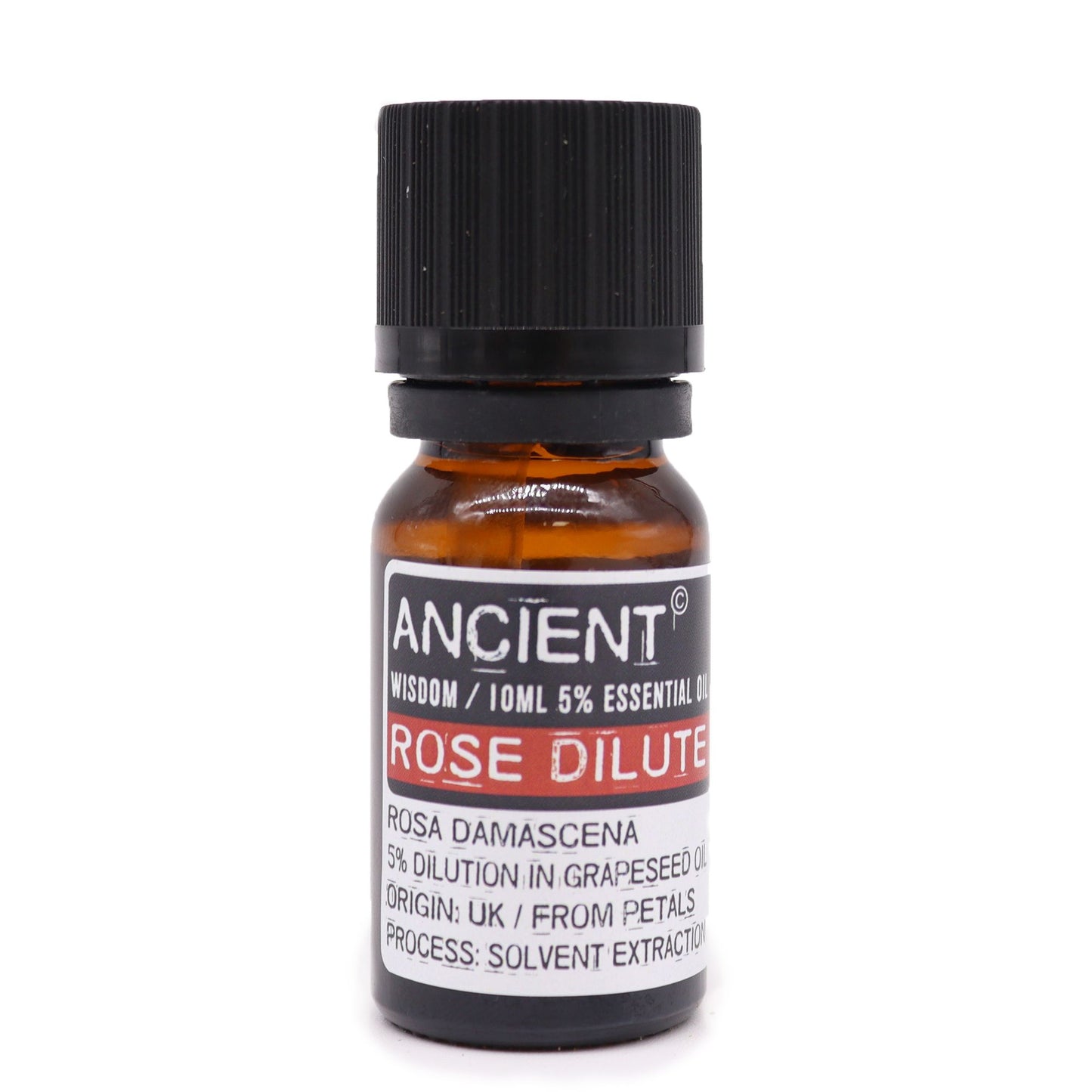 Amber 10 ml bottle labelled Rose Dilute, a 5% blend of Rose Absolute in grapeseed oil, solvent-extracted from petals in Morocco, used for skincare and mood balance.