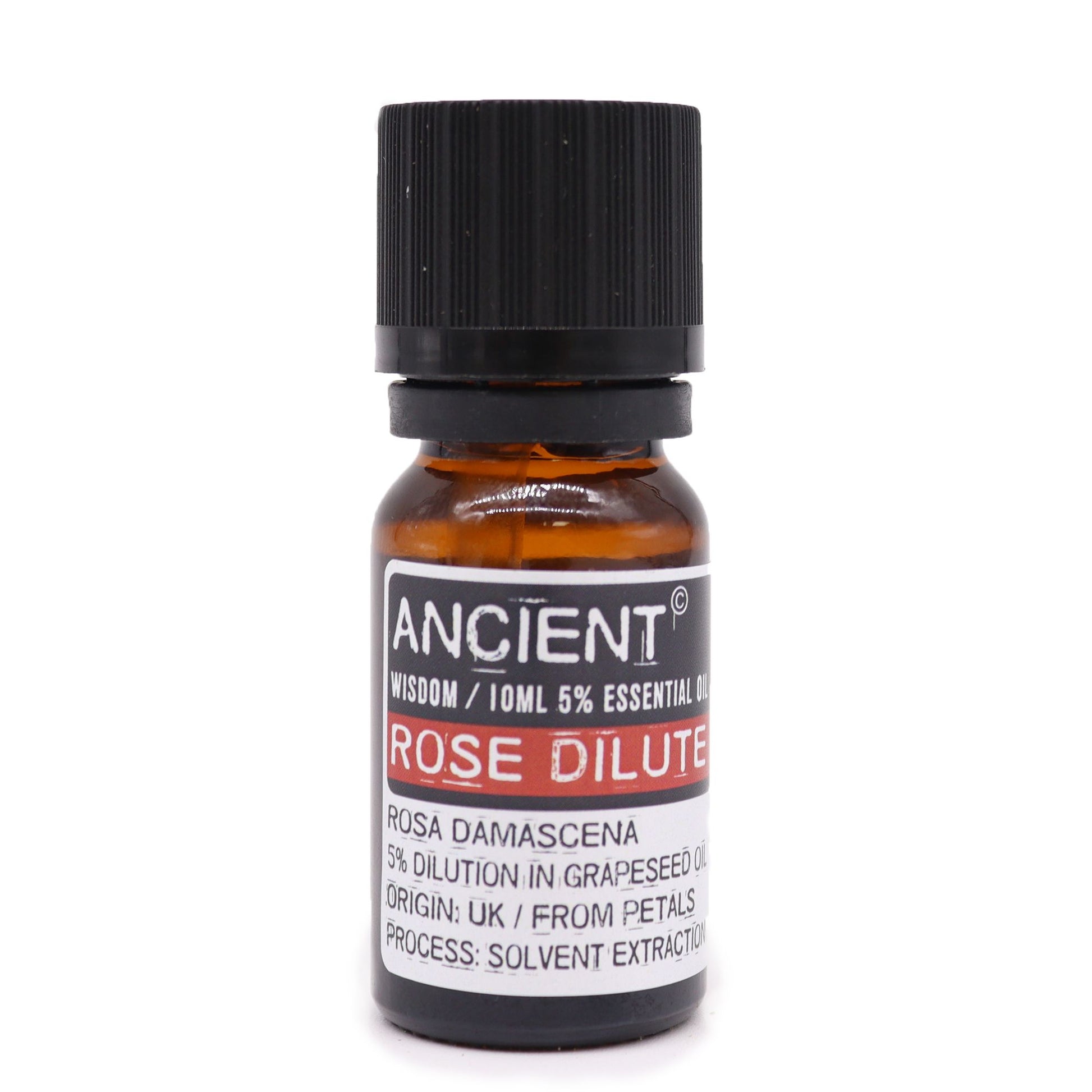 Amber 10 ml bottle labelled Rose Dilute, a 5% blend of Rose Absolute in grapeseed oil, solvent-extracted from petals in Morocco, used for skincare and mood balance.