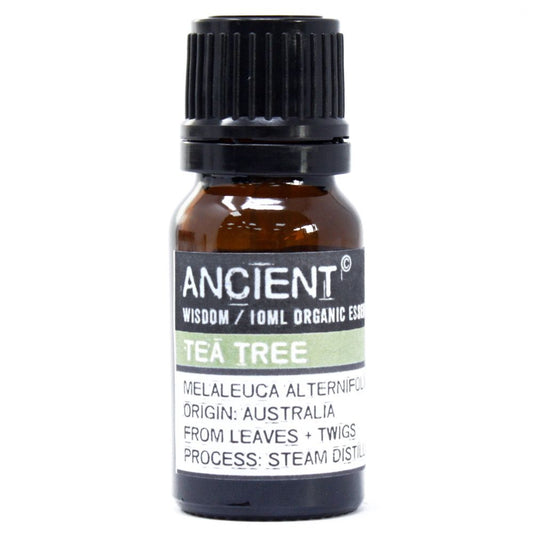 Amber 10 ml bottle labelled ‘Tea Tree—organic, steam-distilled’, a crisp herbaceous oil for clarifying diffusers and DIY room mists.