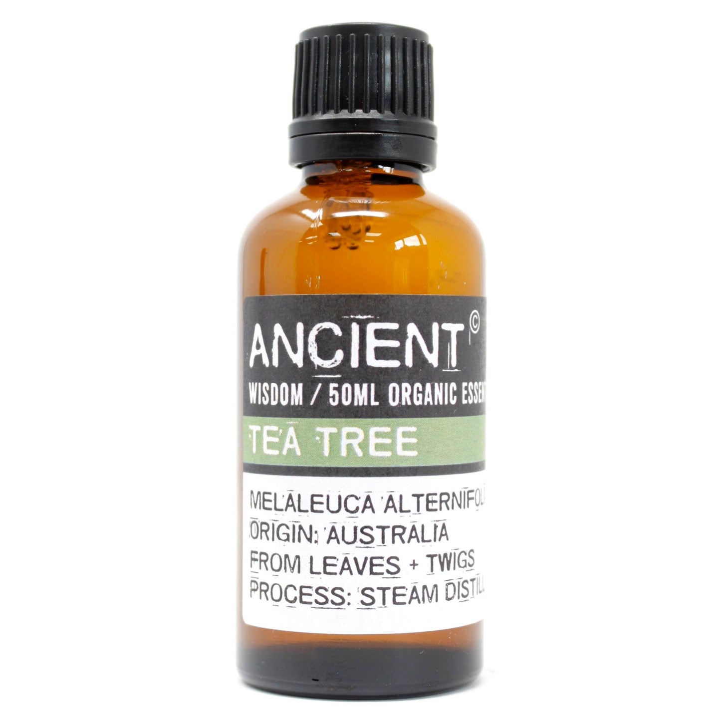 Amber 50 ml bottle labelled ‘Tea Tree—organic, steam-distilled’, a fresh camphor-herbal oil from Australian leaves & twigs.